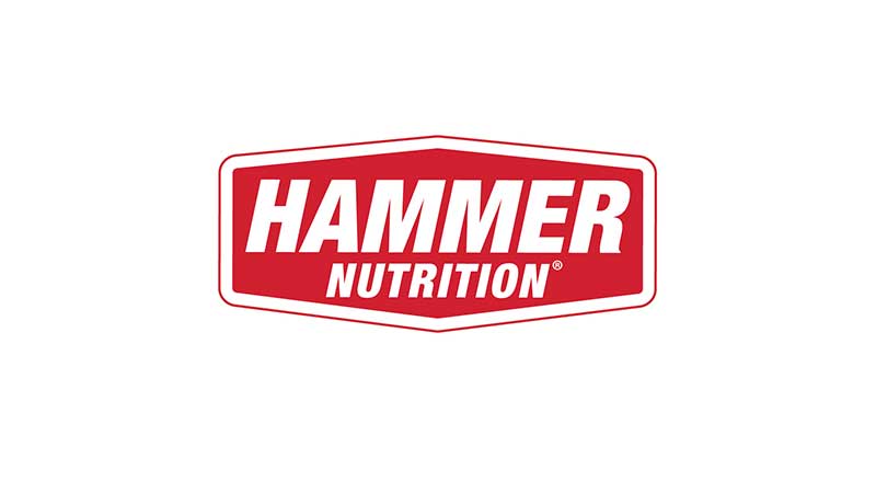 Partner Hammer 2022